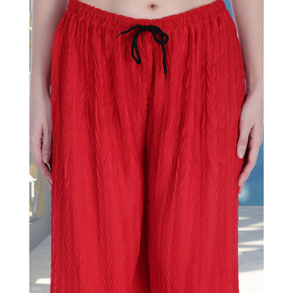Stylish Premium Look Pleated Design Palazzo for Women (Pack of 1)