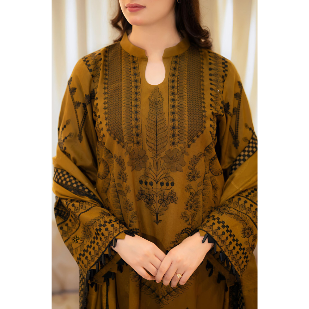 NAYYAB-HEAVY FANCY PAIR WITH DUPATTA SET  (Pack of 1)